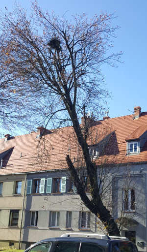 Zdjęcie 1 przedstawia problem zgłoszony w tym alercie
