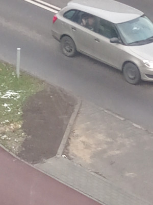 Zdjęcie 1 przedstawia problem zgłoszony w tym alercie