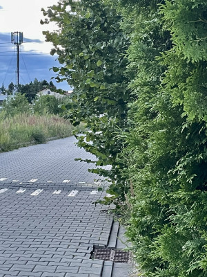 Zdjęcie 1 przedstawia problem zgłoszony w tym alercie