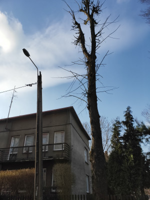 Zdjęcie 3 przedstawia problem zgłoszony w tym alercie