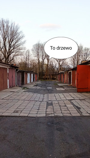 Zdjęcie 4 przedstawia problem zgłoszony w tym alercie