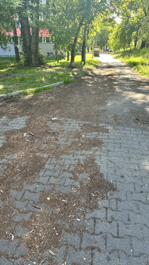 Zdjęcie 1 przedstawia problem zgłoszony w tym alercie