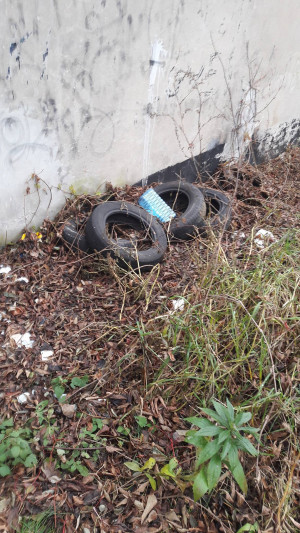 Zdjęcie 2 przedstawia problem zgłoszony w tym alercie