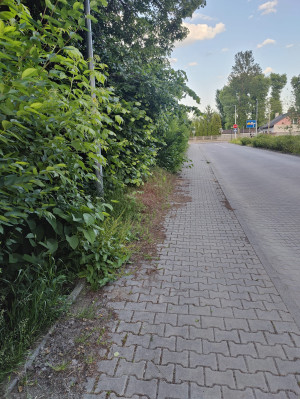 Zdjęcie 3 przedstawia problem zgłoszony w tym alercie