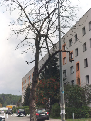 Zdjęcie 2 przedstawia problem zgłoszony w tym alercie