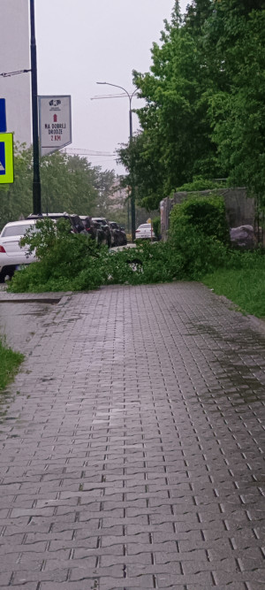 Zdjęcie 1 przedstawia problem zgłoszony w tym alercie