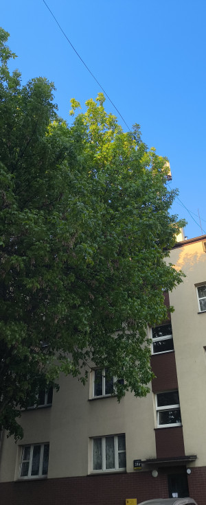 Zdjęcie 1 przedstawia problem zgłoszony w tym alercie