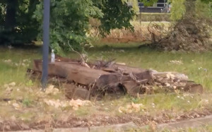 Zdjęcie 1 przedstawia problem zgłoszony w tym alercie