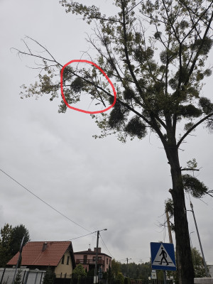 Zdjęcie 2 przedstawia problem zgłoszony w tym alercie