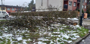 Zdjęcie 5 przedstawia problem zgłoszony w tym alercie