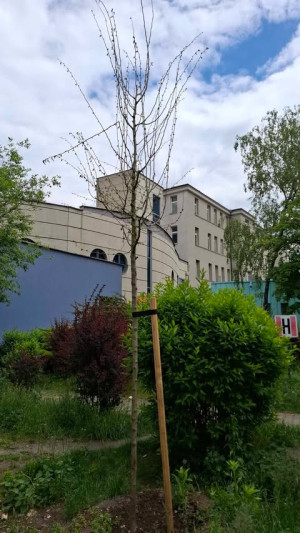 Zdjęcie 3 przedstawia problem zgłoszony w tym alercie