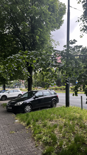 Zdjęcie 2 przedstawia problem zgłoszony w tym alercie