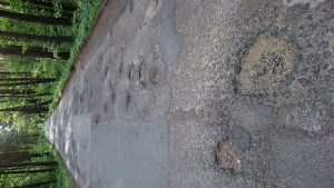 Zdjęcie 6 przedstawia problem zgłoszony w tym alercie