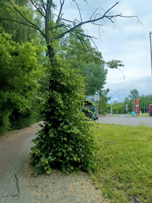 Zdjęcie 3 przedstawia problem zgłoszony w tym alercie