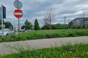 Zdjęcie 2 przedstawia problem zgłoszony w tym alercie