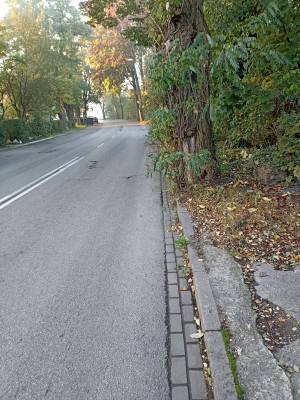 Zdjęcie 2 przedstawia problem zgłoszony w tym alercie