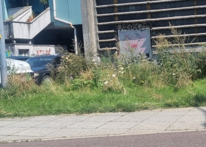 Zdjęcie 1 przedstawia problem zgłoszony w tym alercie