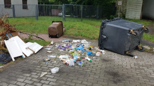 Zdjęcie 2 przedstawia problem zgłoszony w tym alercie