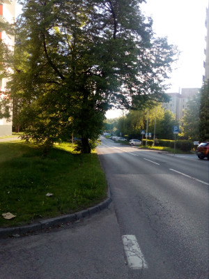 Zdjęcie 4 przedstawia problem zgłoszony w tym alercie