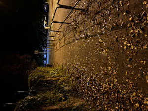 Zdjęcie 1 przedstawia problem zgłoszony w tym alercie