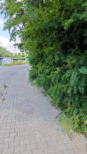 Zdjęcie 2 przedstawia problem zgłoszony w tym alercie