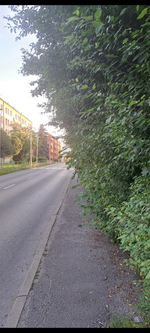 Zdjęcie 2 przedstawia problem zgłoszony w tym alercie
