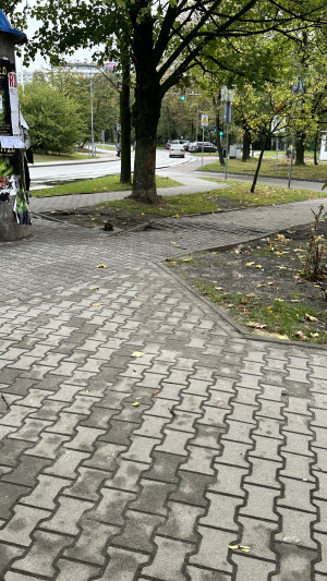 Zdjęcie 2 przedstawia problem zgłoszony w tym alercie