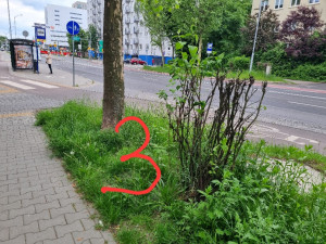 Zdjęcie 1 przedstawia problem zgłoszony w tym alercie