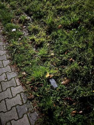 Zdjęcie 2 przedstawia problem zgłoszony w tym alercie