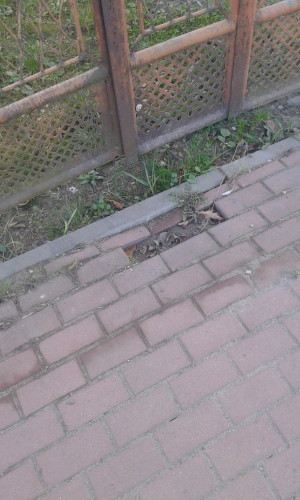 Zdjęcie 3 przedstawia problem zgłoszony w tym alercie
