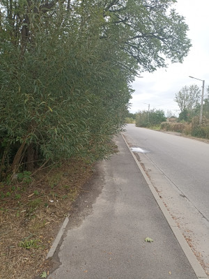 Zdjęcie 1 przedstawia problem zgłoszony w tym alercie