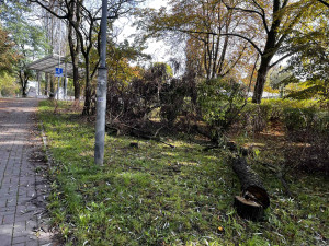Zdjęcie 1 przedstawia problem zgłoszony w tym alercie