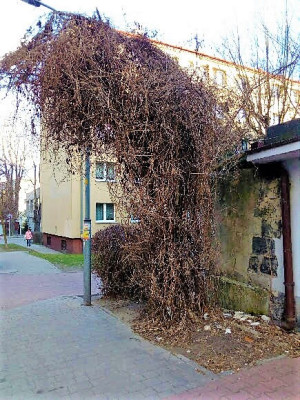 Zdjęcie 1 przedstawia problem zgłoszony w tym alercie