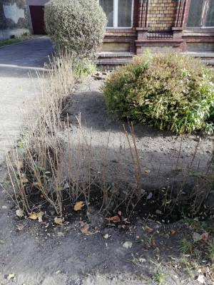 Zdjęcie 2 przedstawia problem zgłoszony w tym alercie