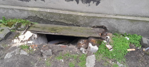 Zdjęcie 5 przedstawia problem zgłoszony w tym alercie