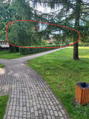 Zdjęcie 1 przedstawia problem zgłoszony w tym alercie