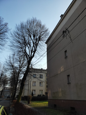 Zdjęcie 4 przedstawia problem zgłoszony w tym alercie