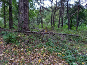 Zdjęcie 1 przedstawia problem zgłoszony w tym alercie