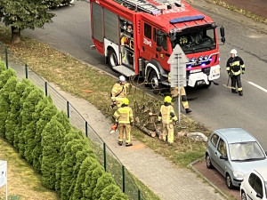 Zdjęcie 1 przedstawia problem zgłoszony w tym alercie