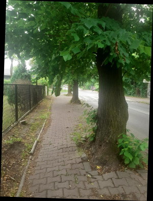 Zdjęcie 3 przedstawia problem zgłoszony w tym alercie