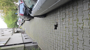 Zdjęcie 2 przedstawia problem zgłoszony w tym alercie