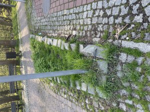 Zdjęcie 3 przedstawia problem zgłoszony w tym alercie