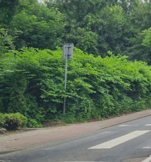 Zdjęcie 2 przedstawia problem zgłoszony w tym alercie