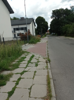 Zdjęcie 4 przedstawia problem zgłoszony w tym alercie