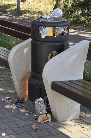 Zdjęcie 1 przedstawia problem zgłoszony w tym alercie