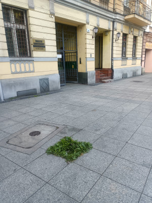 Zdjęcie 1 przedstawia problem zgłoszony w tym alercie