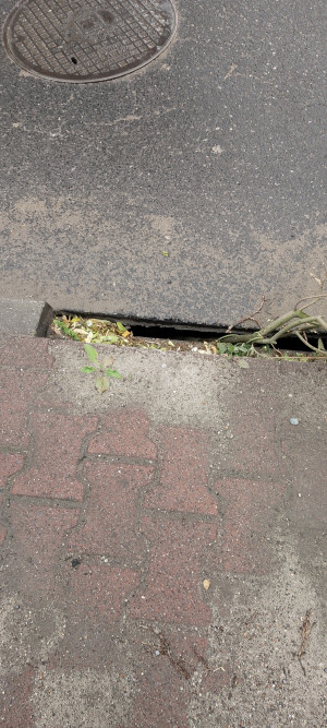 Zdjęcie 2 przedstawia problem zgłoszony w tym alercie