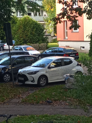 Zdjęcie 1 przedstawia problem zgłoszony w tym alercie