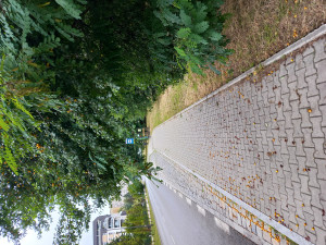 Zdjęcie 2 przedstawia problem zgłoszony w tym alercie