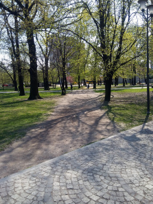 Zdjęcie 4 przedstawia problem zgłoszony w tym alercie